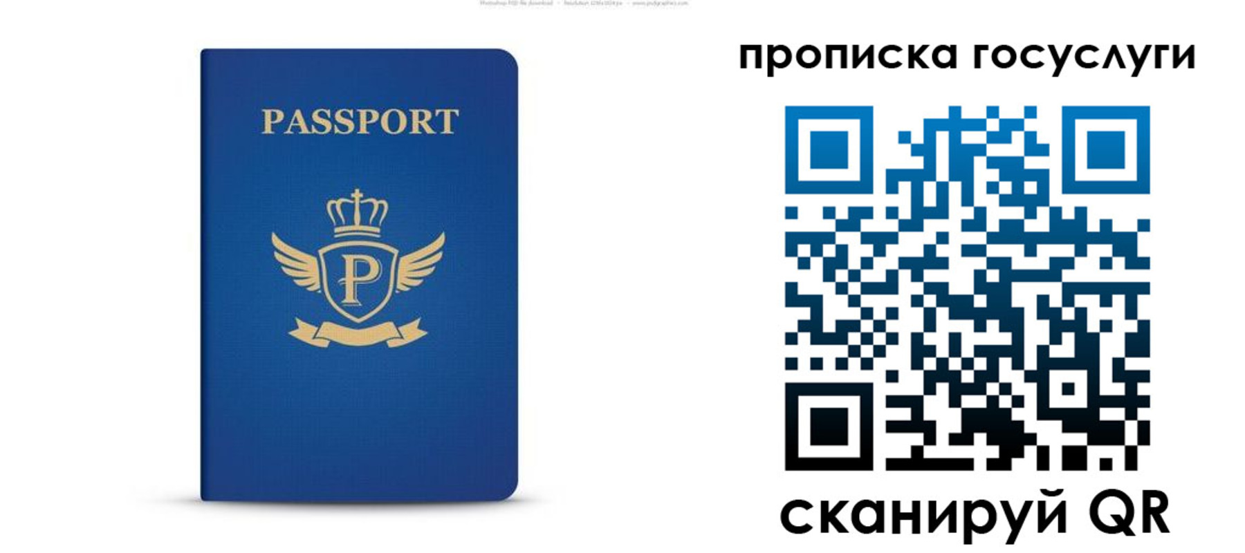 прописка для школы в Новодвинске